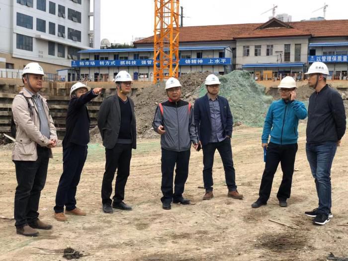 5.2陆烜带队到直属分公司民族苑项目查抄。 朱文海 摄700.jpg