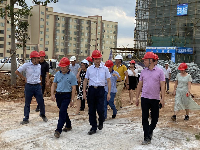 调研现场。韦艳兰 摄.png