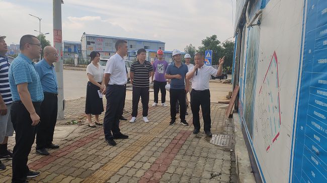 程钊现场相识项目情况。蓝必峰 摄（建图）.jpg