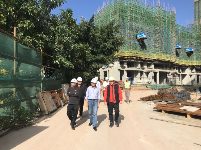 查抄工地现场；莆氖 摄（建图）.jpg